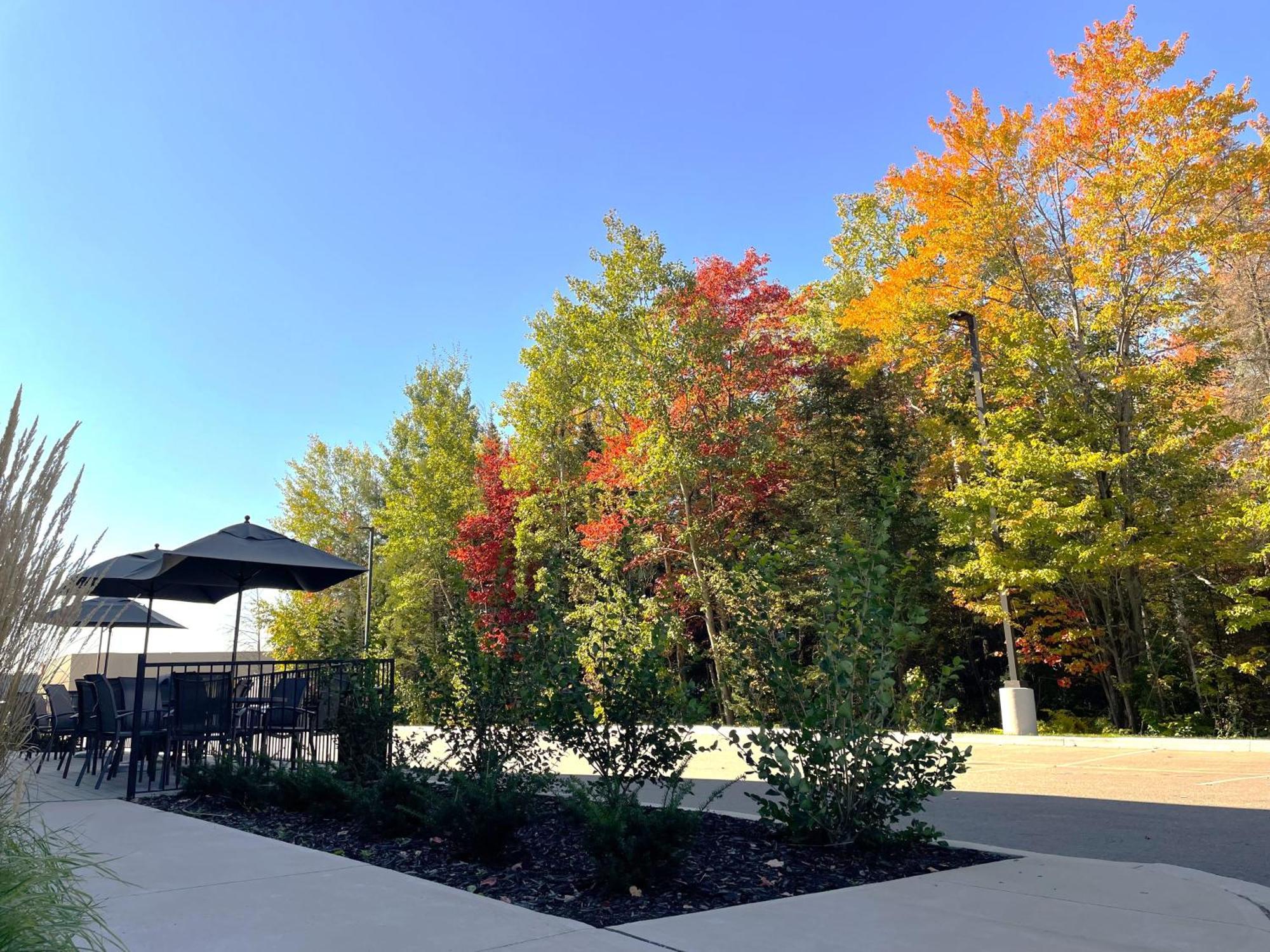 Fairfield By Marriott Inn & Suites North Bay Exterior foto